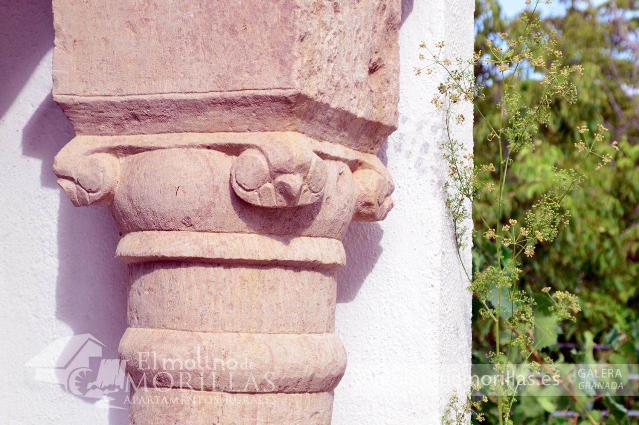 Apartamentos Rurales El Molino De Morillas Galera Kültér fotó