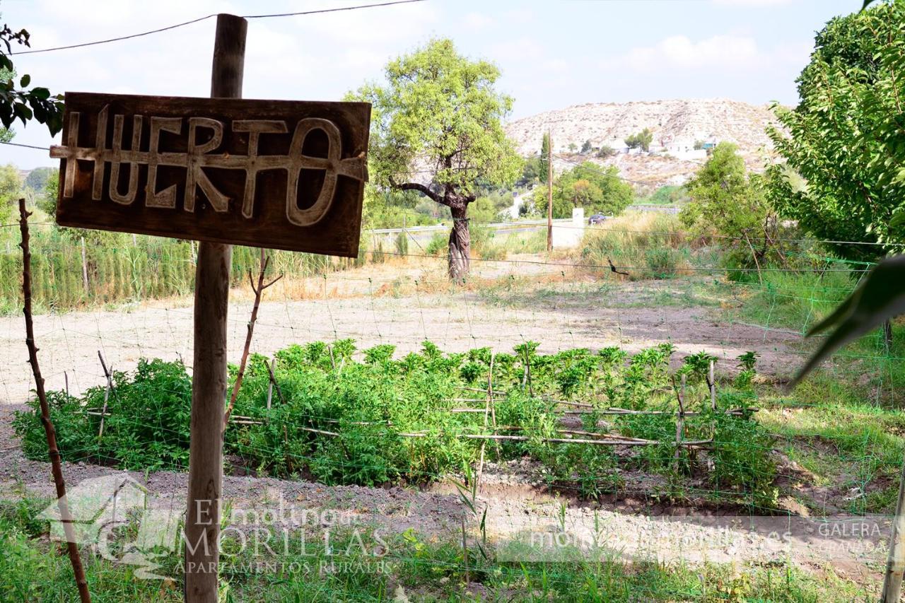 Apartamentos Rurales El Molino De Morillas Galera Kültér fotó