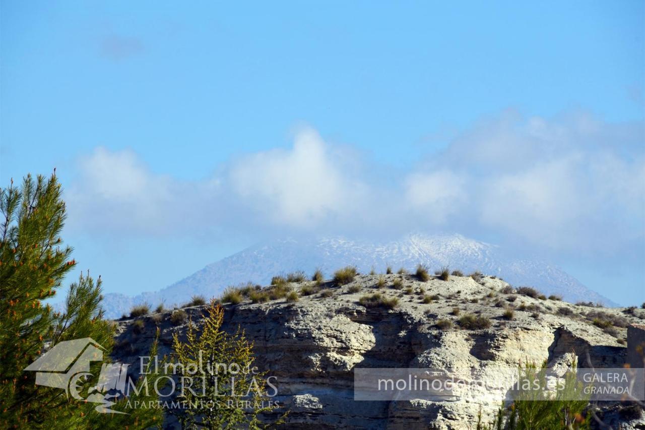 Apartamentos Rurales El Molino De Morillas Galera Kültér fotó